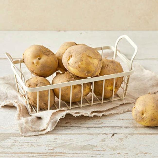 신선특별시)하우스햇감자(900g/봉)