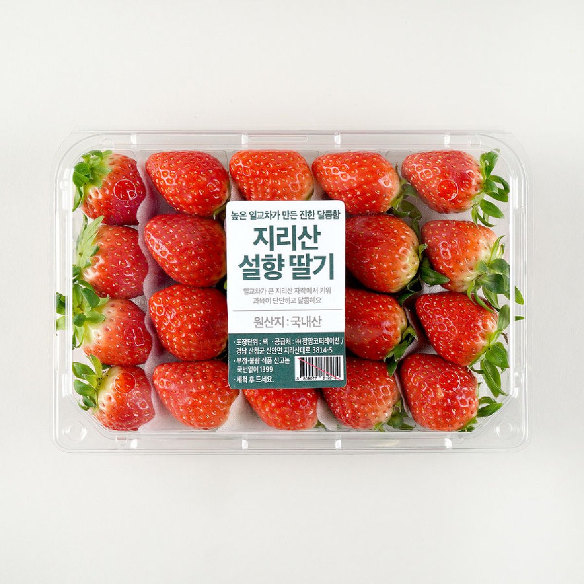 지리산 한판 딸기 500G(팩)