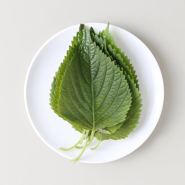 친환경 깻잎(봉)