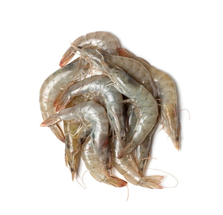 큰)흰다리새우(15마리)