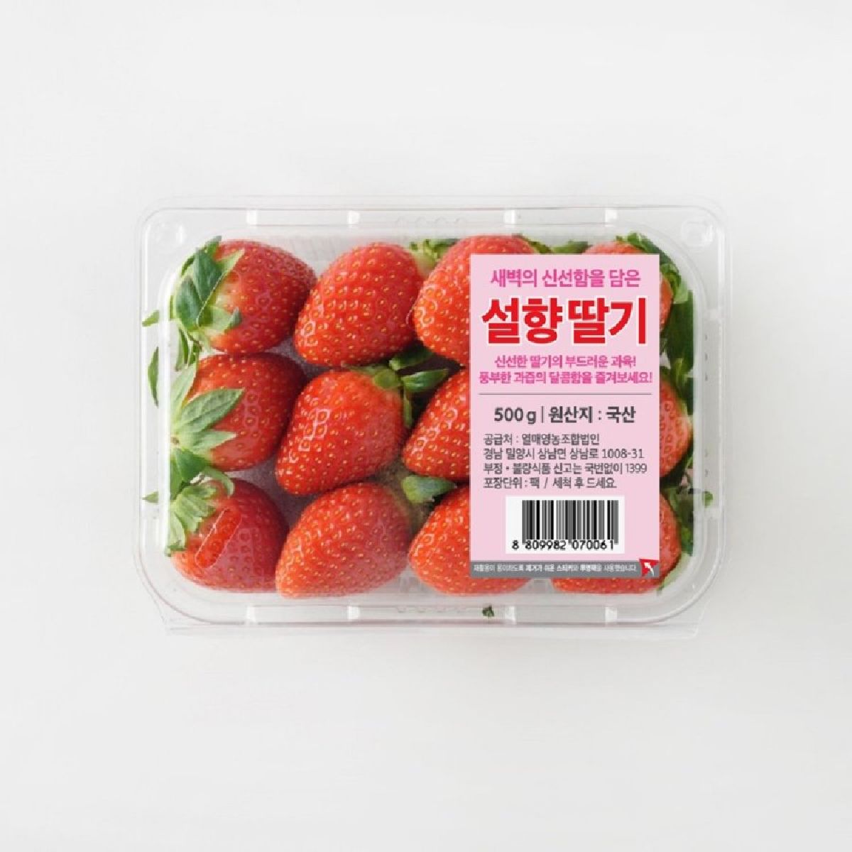 설향딸기 500G(팩)