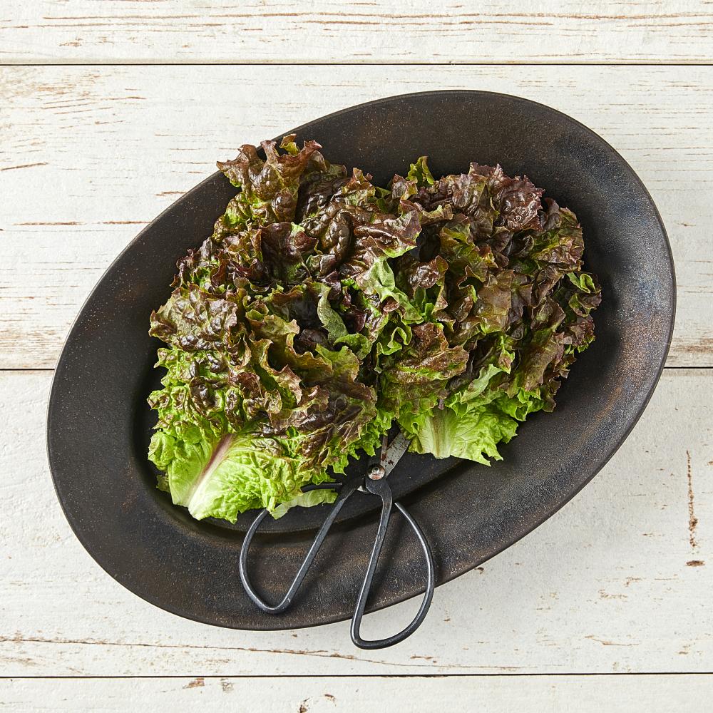 신선특별시)친환경꽃상추(150g/봉)
