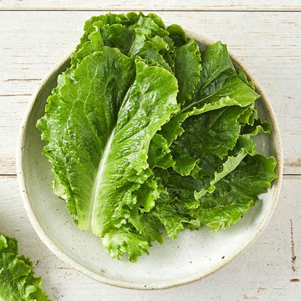신선특별시)친환경청상추(150g/봉)