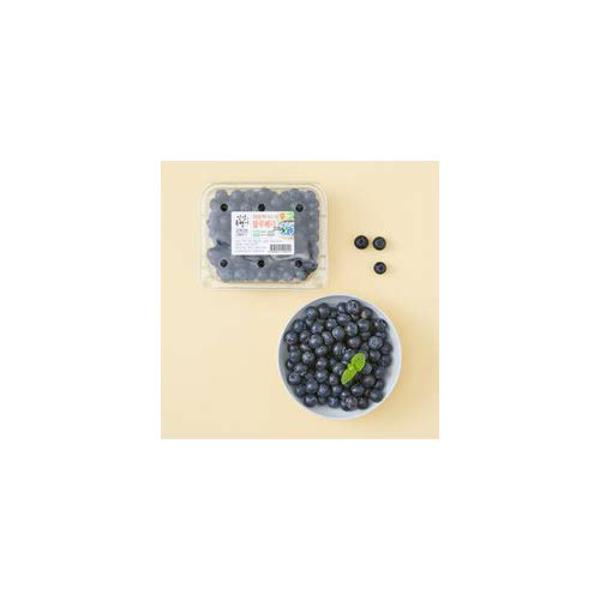 국산)블루베리(200g/팩)