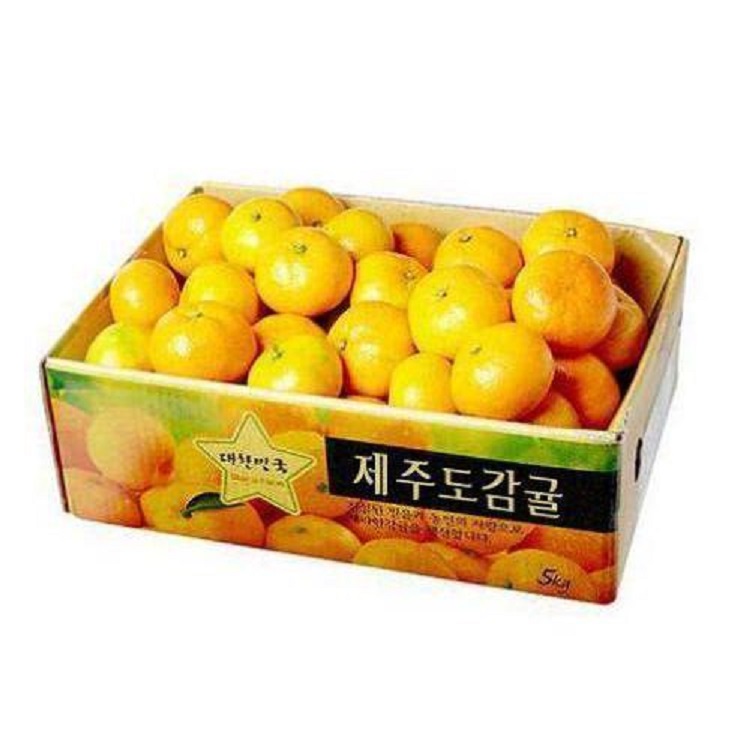 지정농장 조생감귤(3kg/박스) (L/2L)