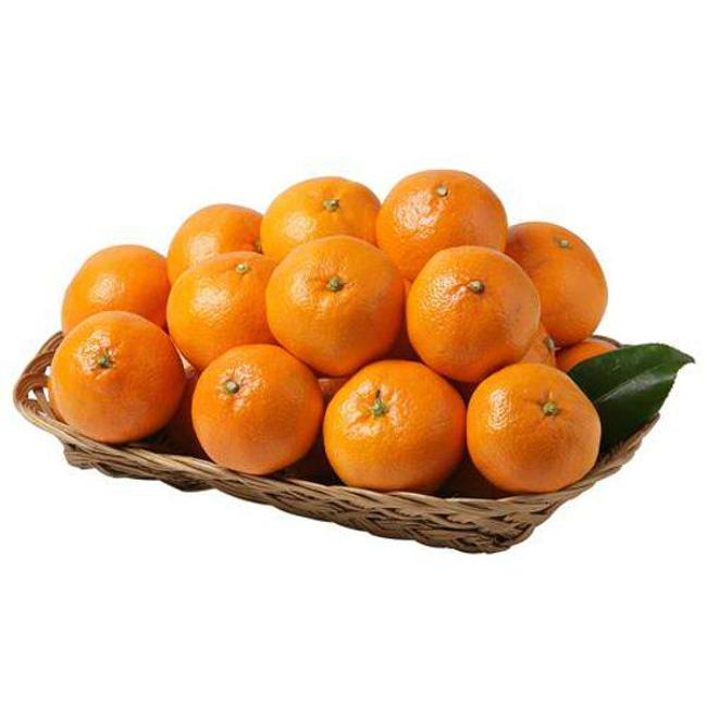 고당도)400일의카라향(800g/팩)