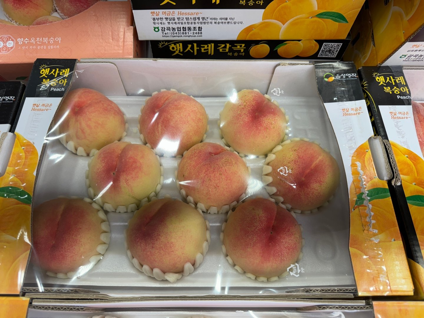 백도 말랑이 복숭아 1box | 배민 장보기∙쇼핑