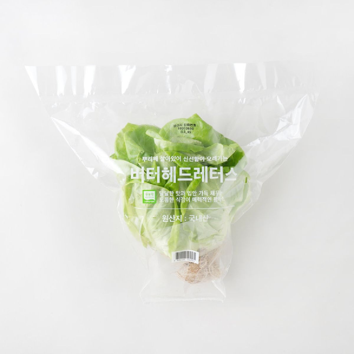버터헤드 레터스(봉)
