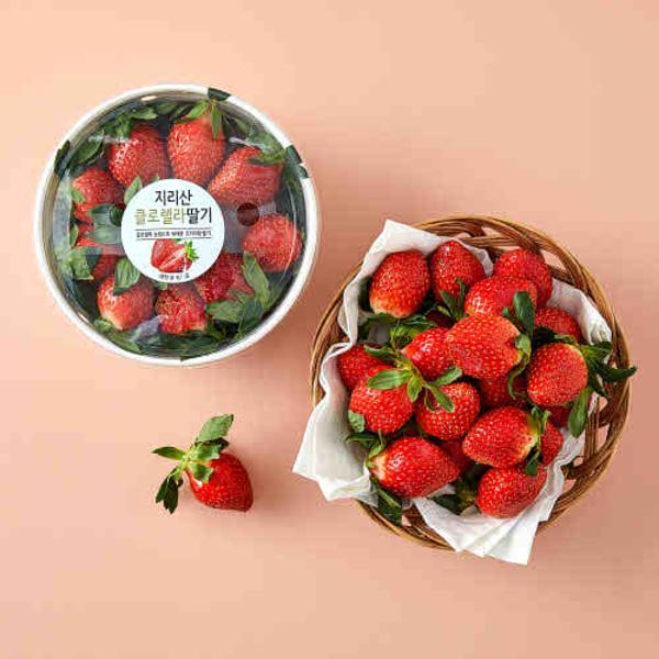지리산 클로렐라 딸기(600g/용기)